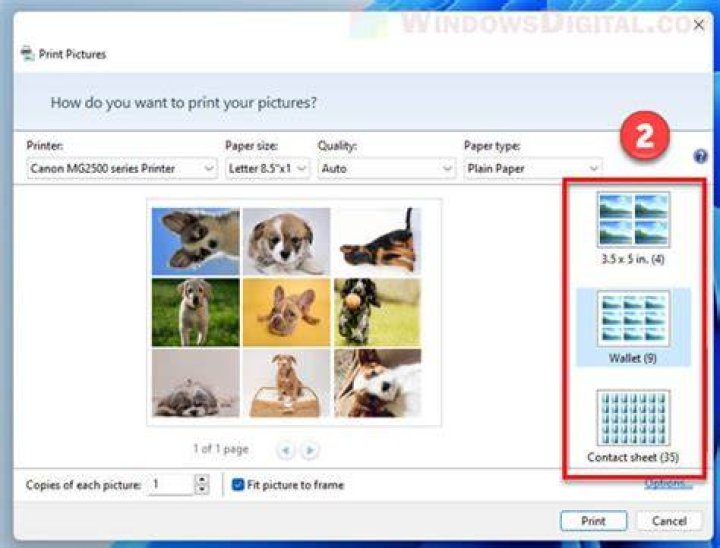 Can we print DL Online?