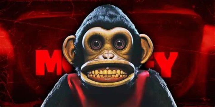 Does the monkey and rooster get along?