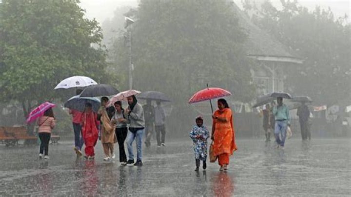 Has it rained in Kerala today?