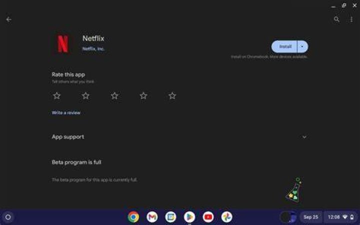 How do I download Netflix on Chrome OS?