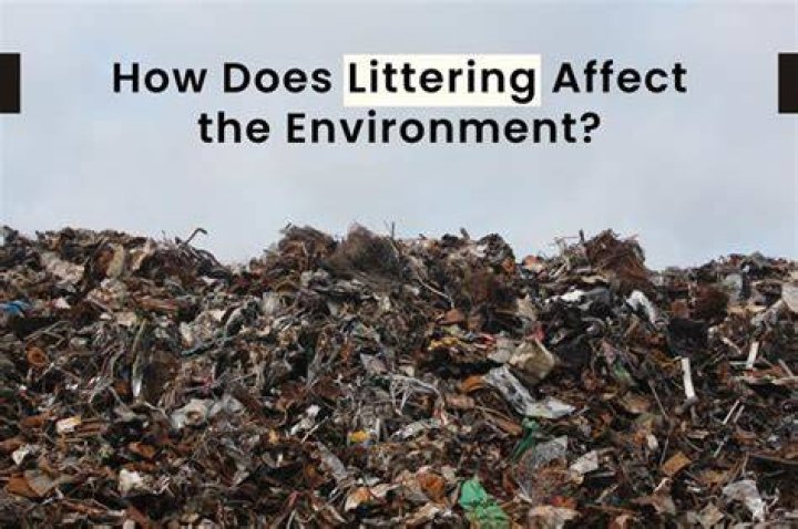 How is littering dangerous?