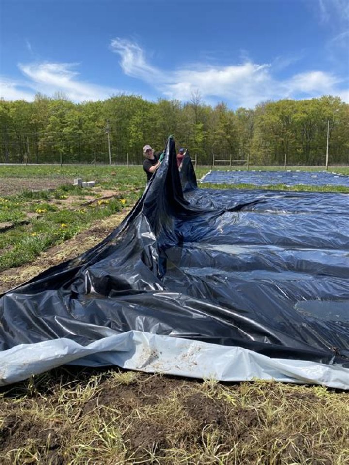 How long does silage tarp last?