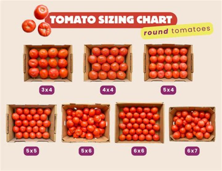 How much do tomatoes weigh?
