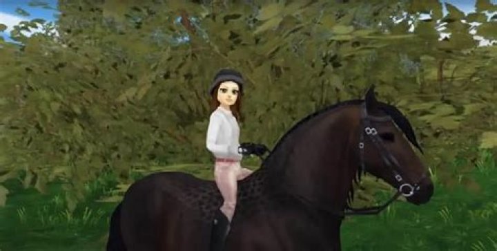 How much does it cost to be a star rider?