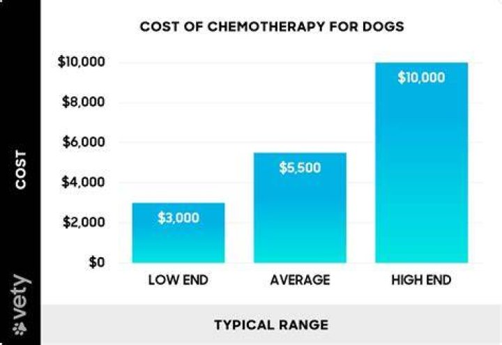How much is the cost of chemotherapy?