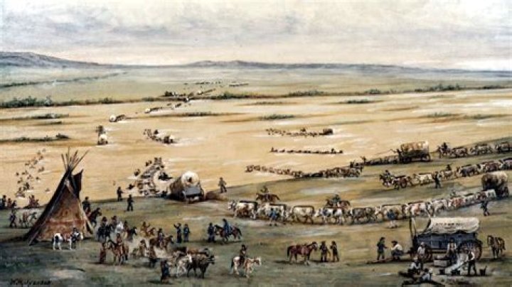 How was settlers distributed land?