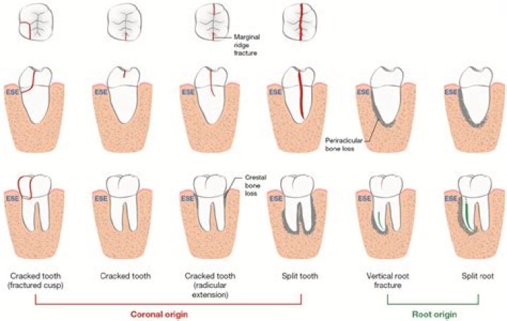 Is showing teeth a sign of submission?