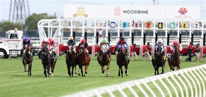 Is there live racing at Woodbine today?