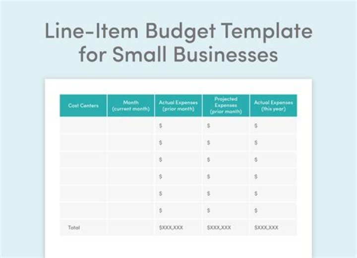 What are line items?