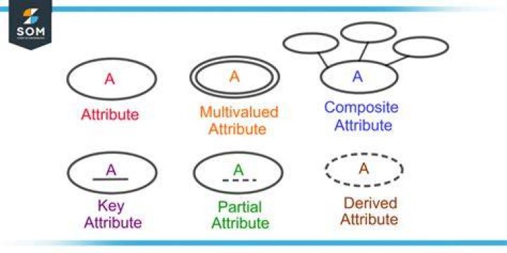 What are the attributes of functions?