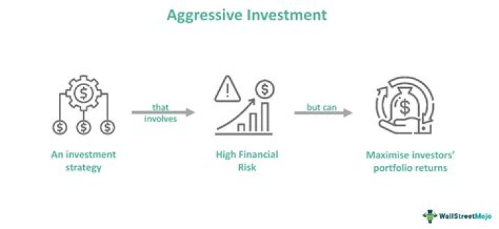 What is an aggressive allocation fund?
