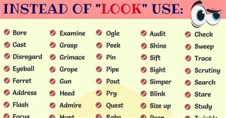 What is another word for look over?