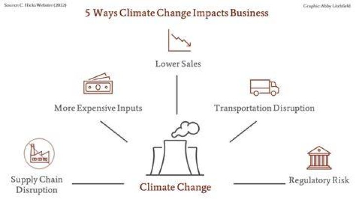 What is business as usual climate change?