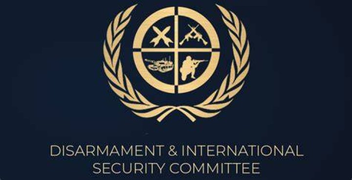 What is disarmament and international security?