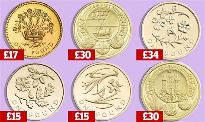 What is on the back of a pound coin?