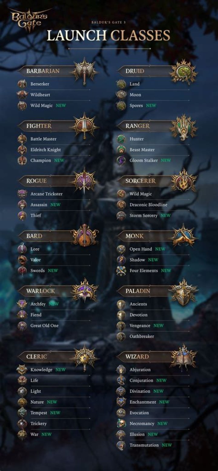 What is the best class in RPG?