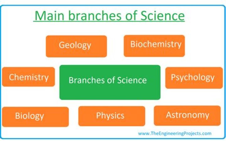 What is the main subject of science?