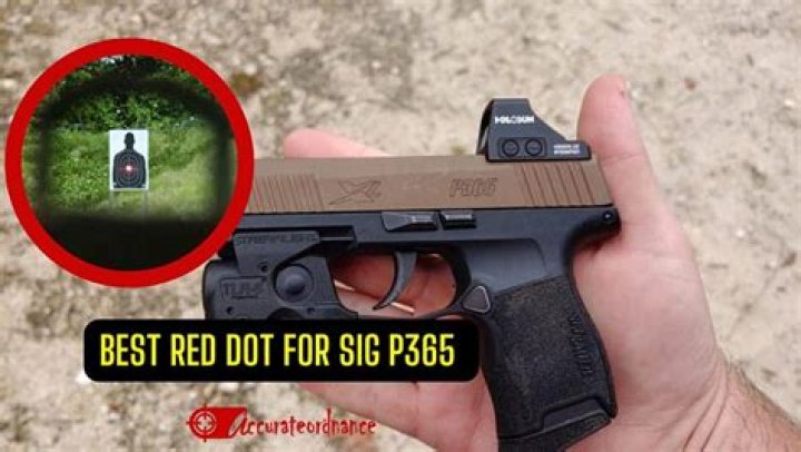 What is the red dot on a SIG P365?