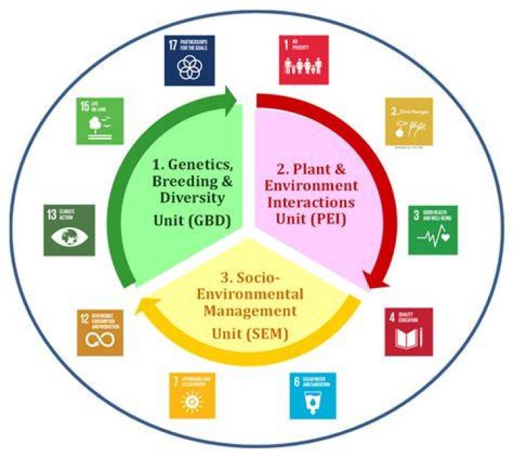What sustainable development policies exist?
