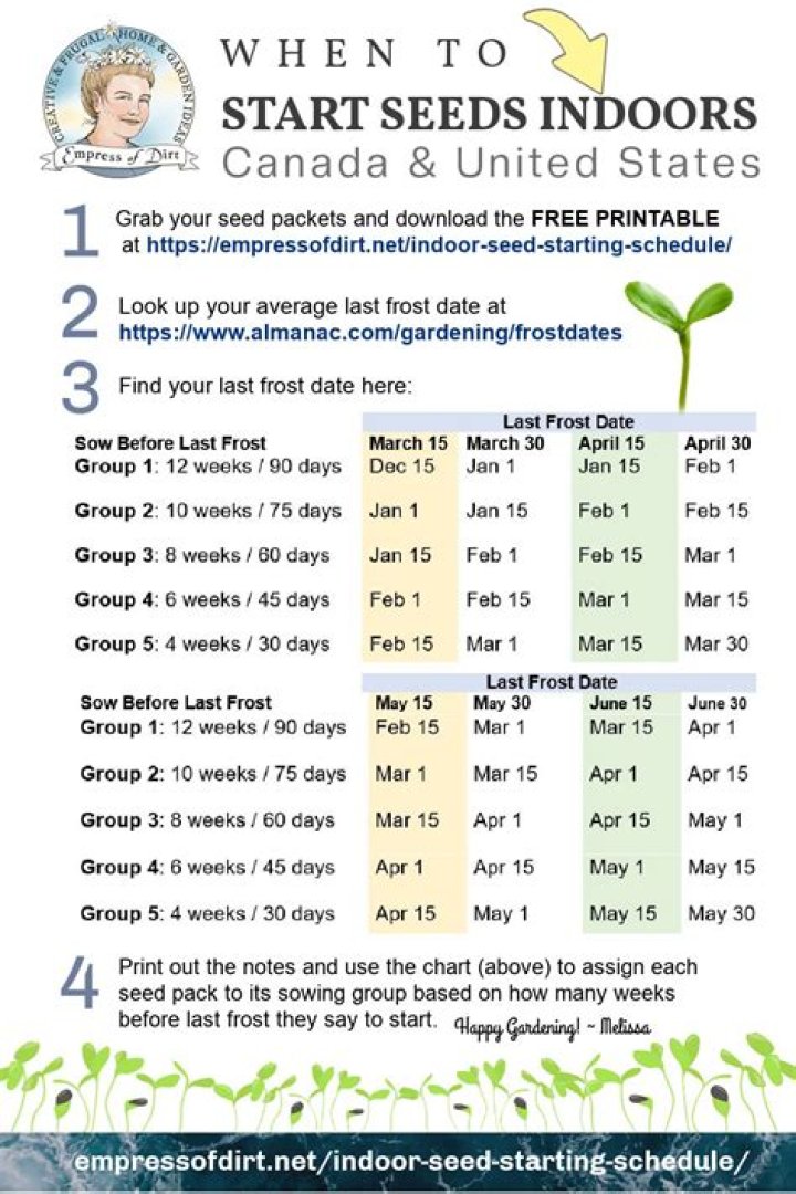 When should I start seeds in my greenhouse?