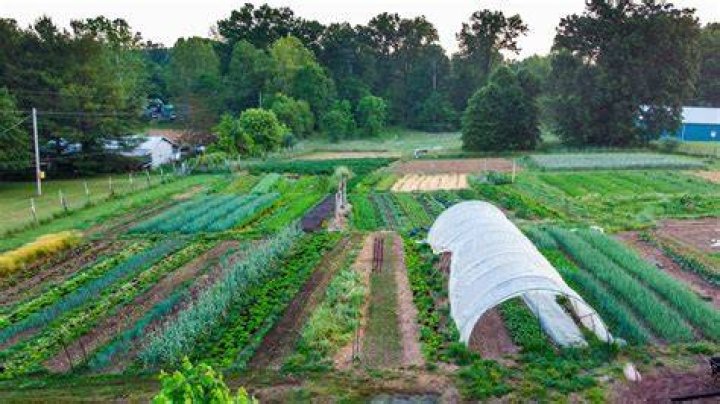 Where can I invest in farming?