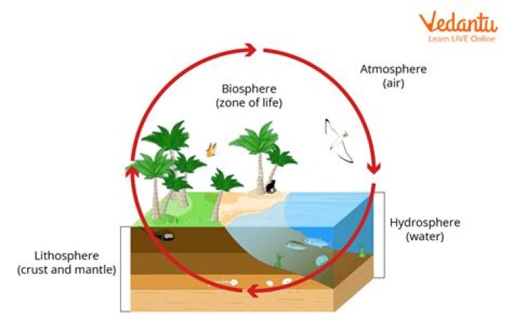 Why do we use the term Mother Earth?