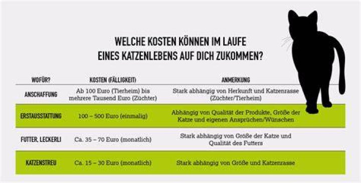 Wie viel kostet ein Taser?